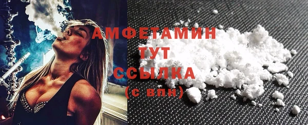 молекула духа Осташков