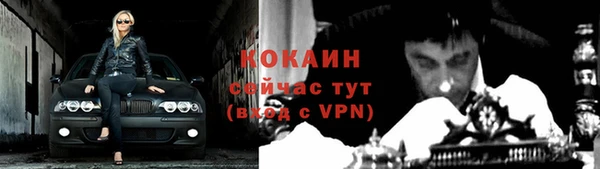 кокс Аркадак