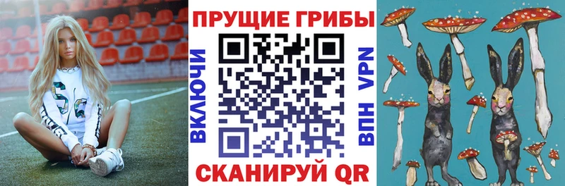 цена наркотик  Малоархангельск  мега маркетплейс  Псилоцибиновые грибы мицелий 